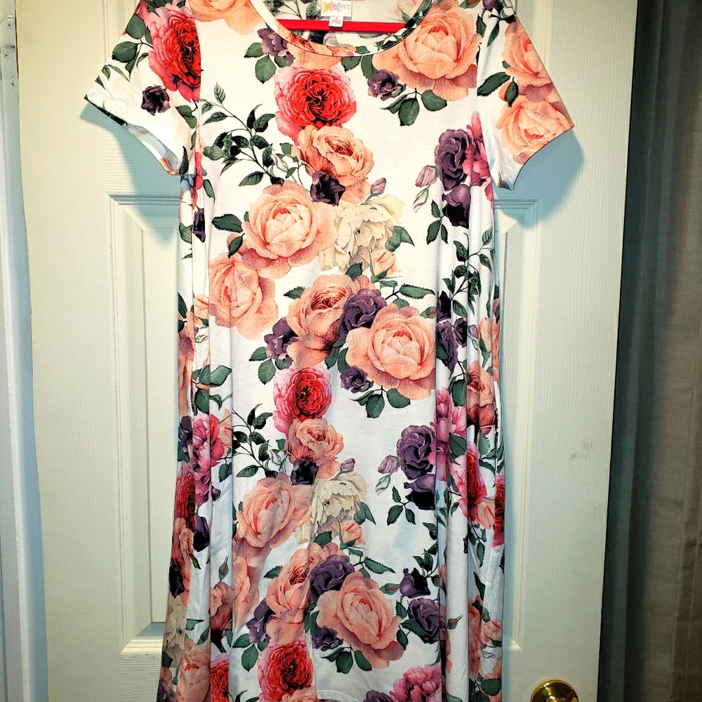 Lularoe Jessie Dress- SMALL